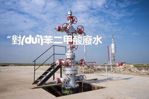 “對(duì)苯二甲酸廢水處理，綠色創(chuàng)新引領(lǐng)環(huán)保新篇章”
